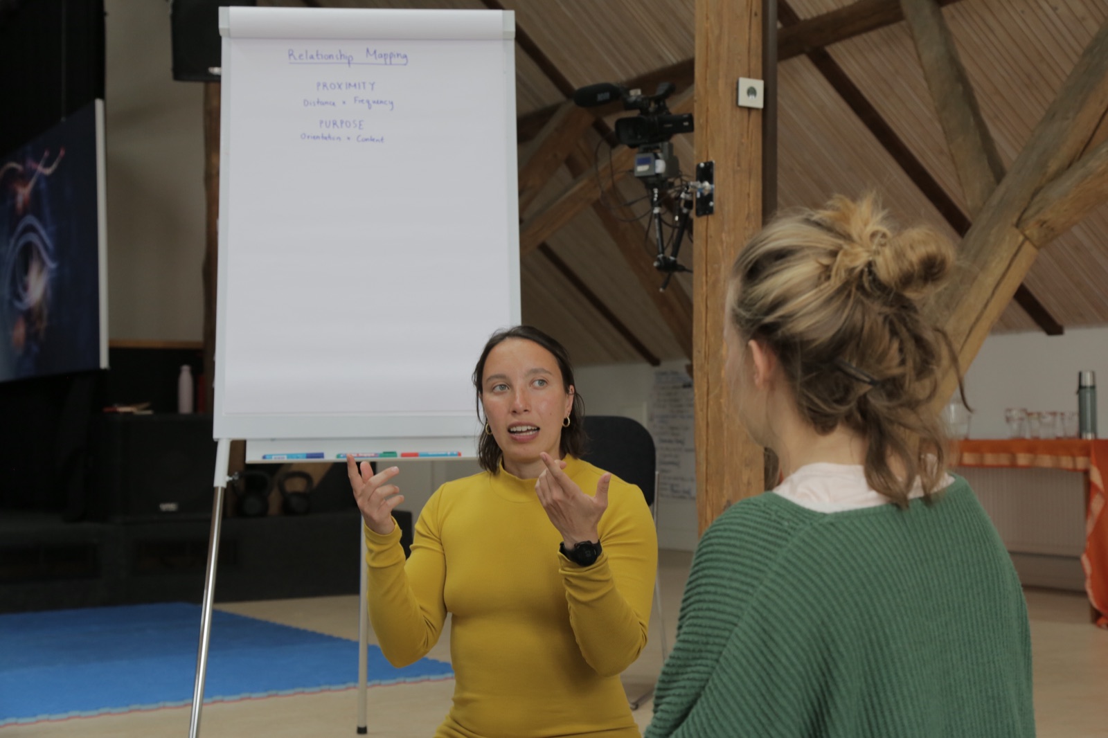 Nina teaching the Relationship Mapping framework